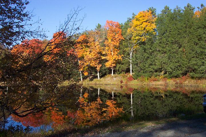 fall 042.jpg